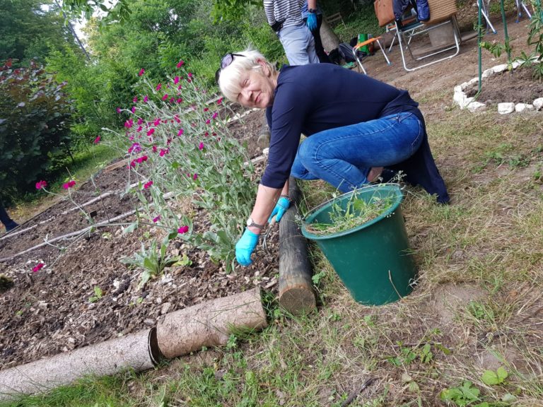 Bénévole souriante plantant à côté de fleurs roses