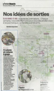 hcc parisien ed 18 fev 2024 zoom puces