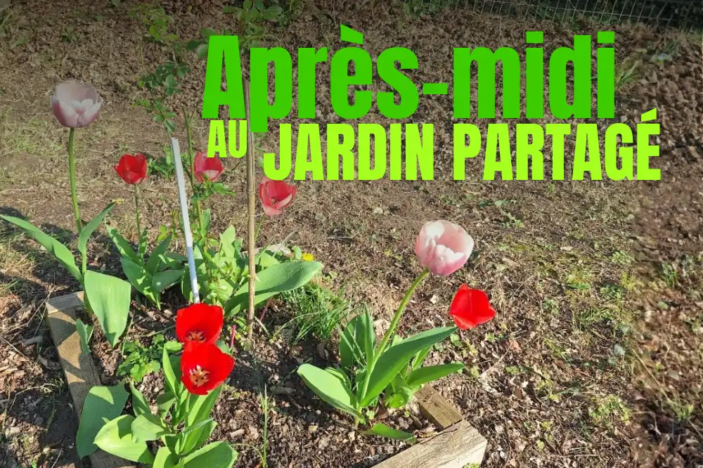 vignette jardin partagé 25032026 optim