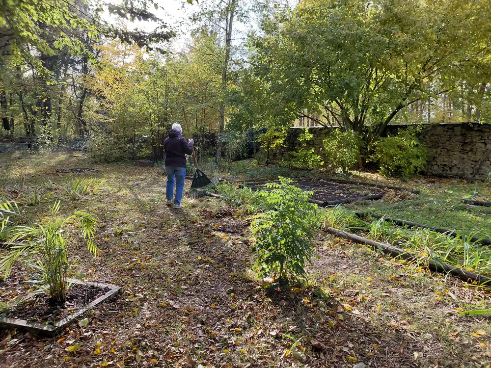 Bénévole au fond du jardin entre les parcelles