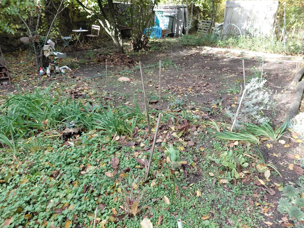 Parcelle du jardin en automne