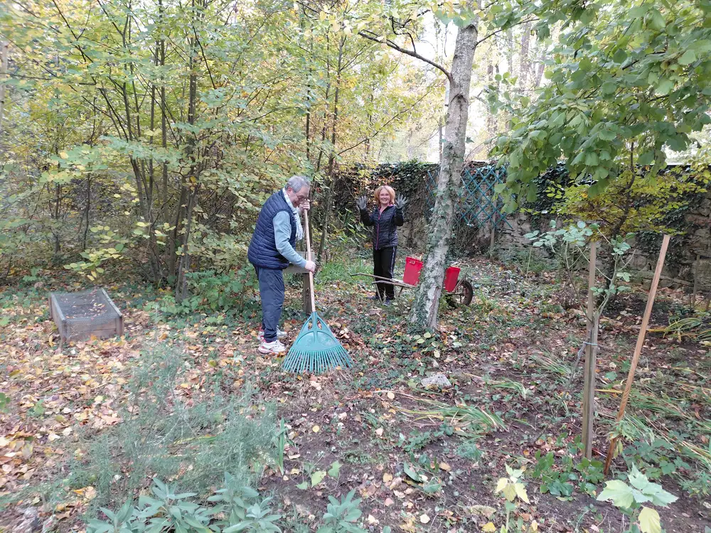Bénévoles ratissant les feuilles au fond du jardin